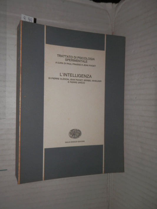 24636981