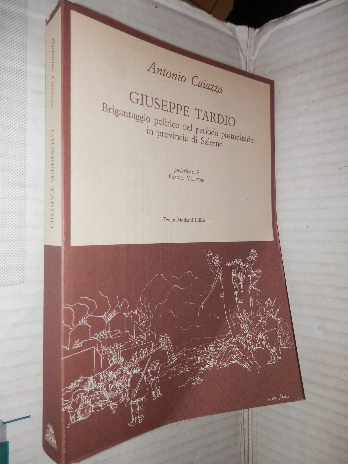 24637989