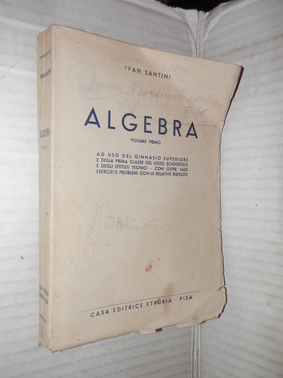 24638151