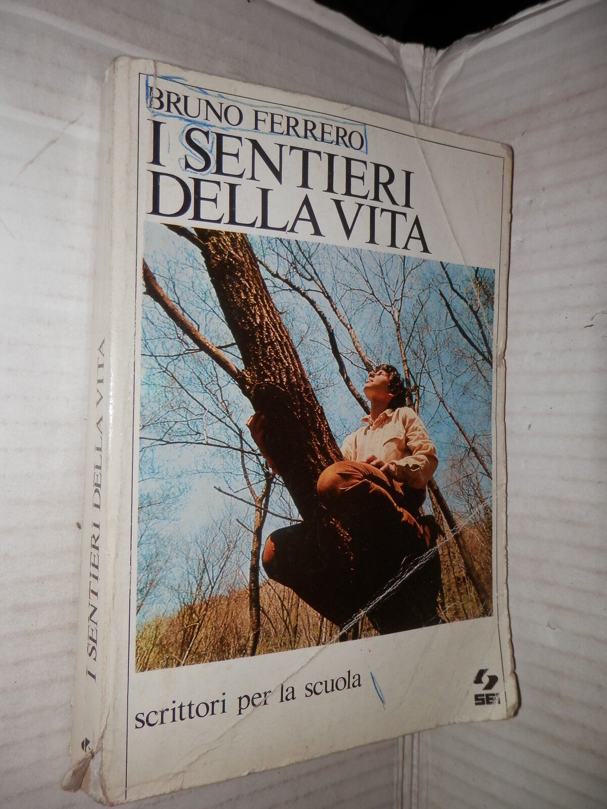 24638462