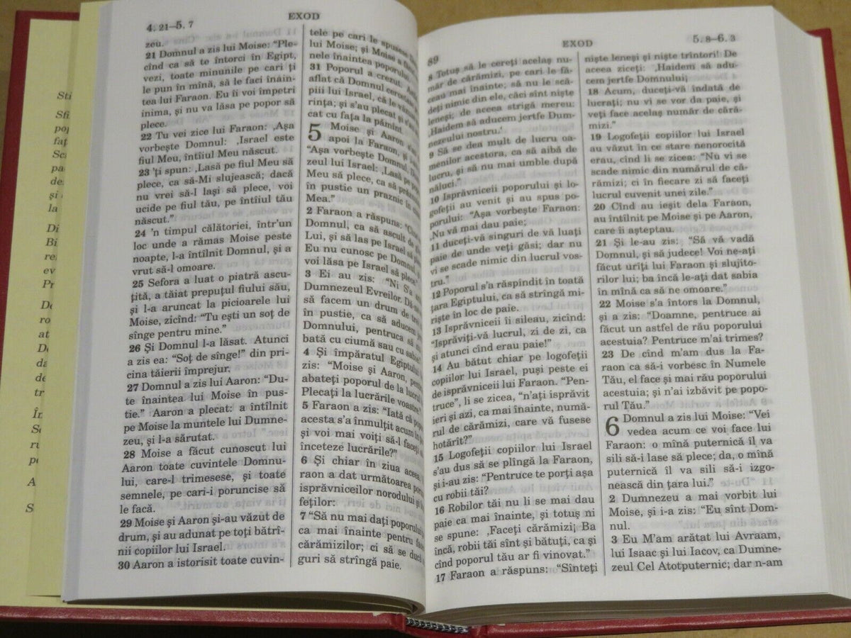 24079244