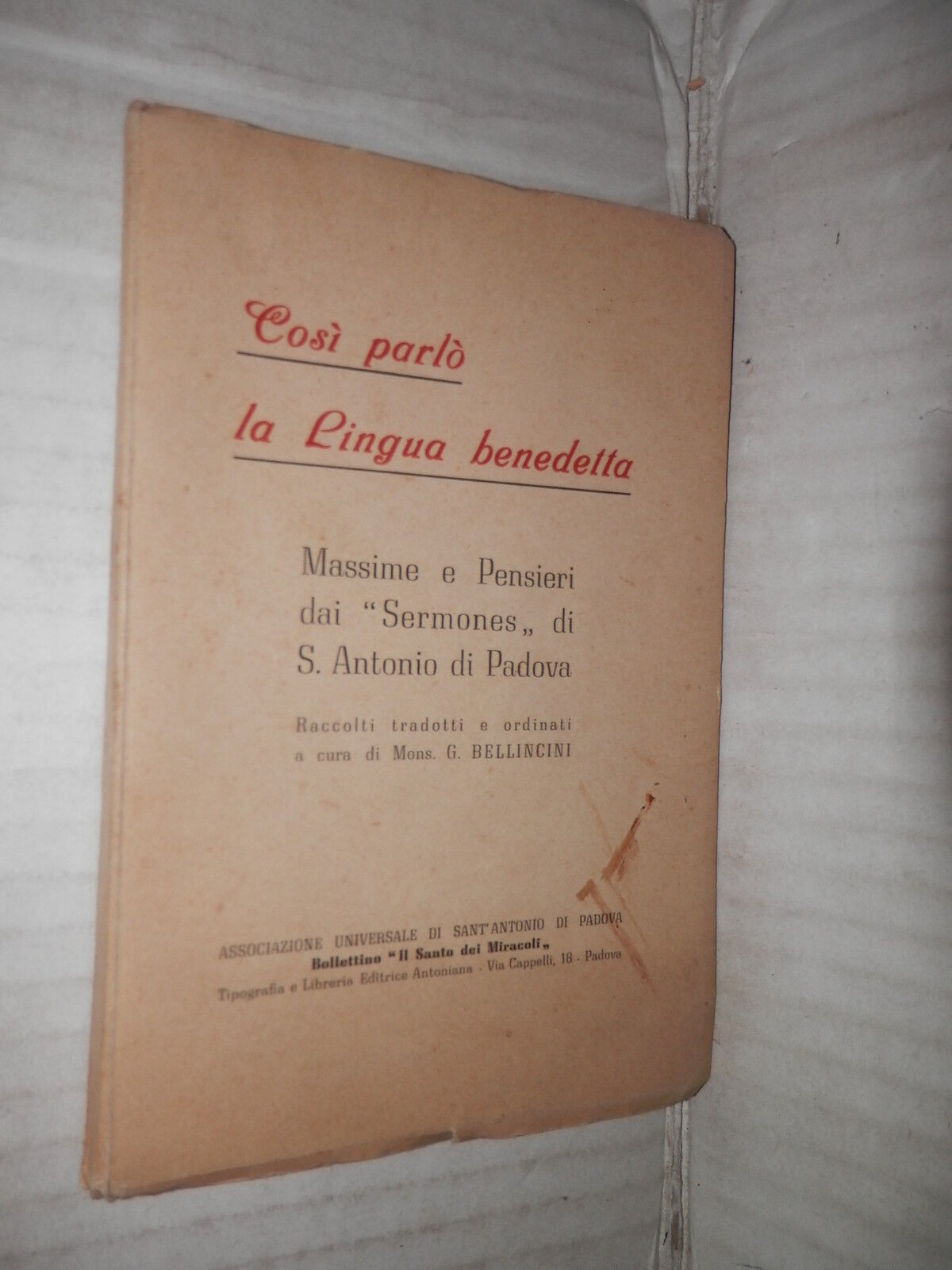 24716534