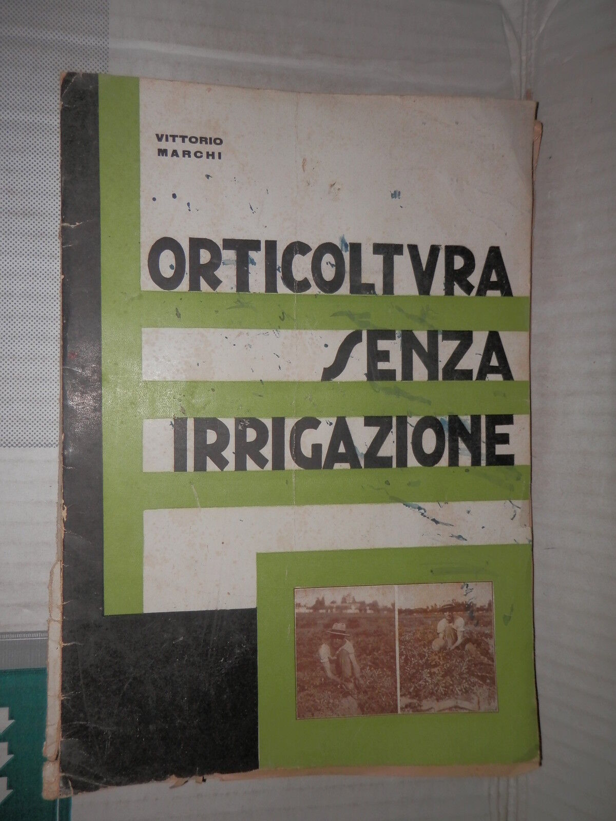 24717364