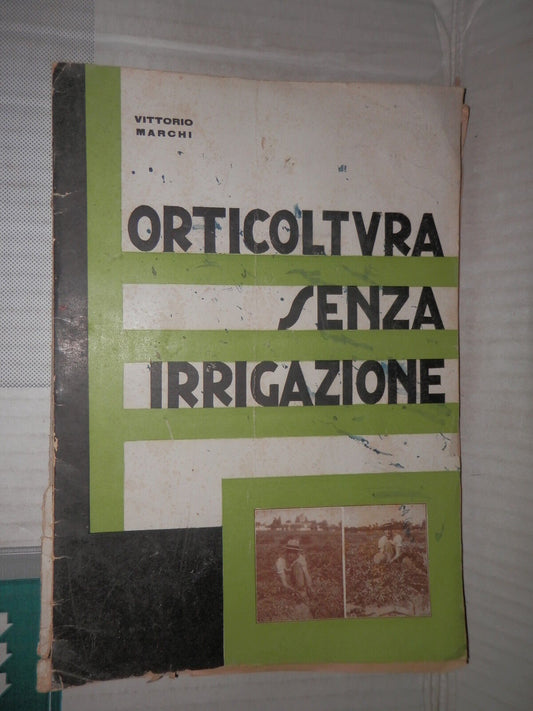 24717364