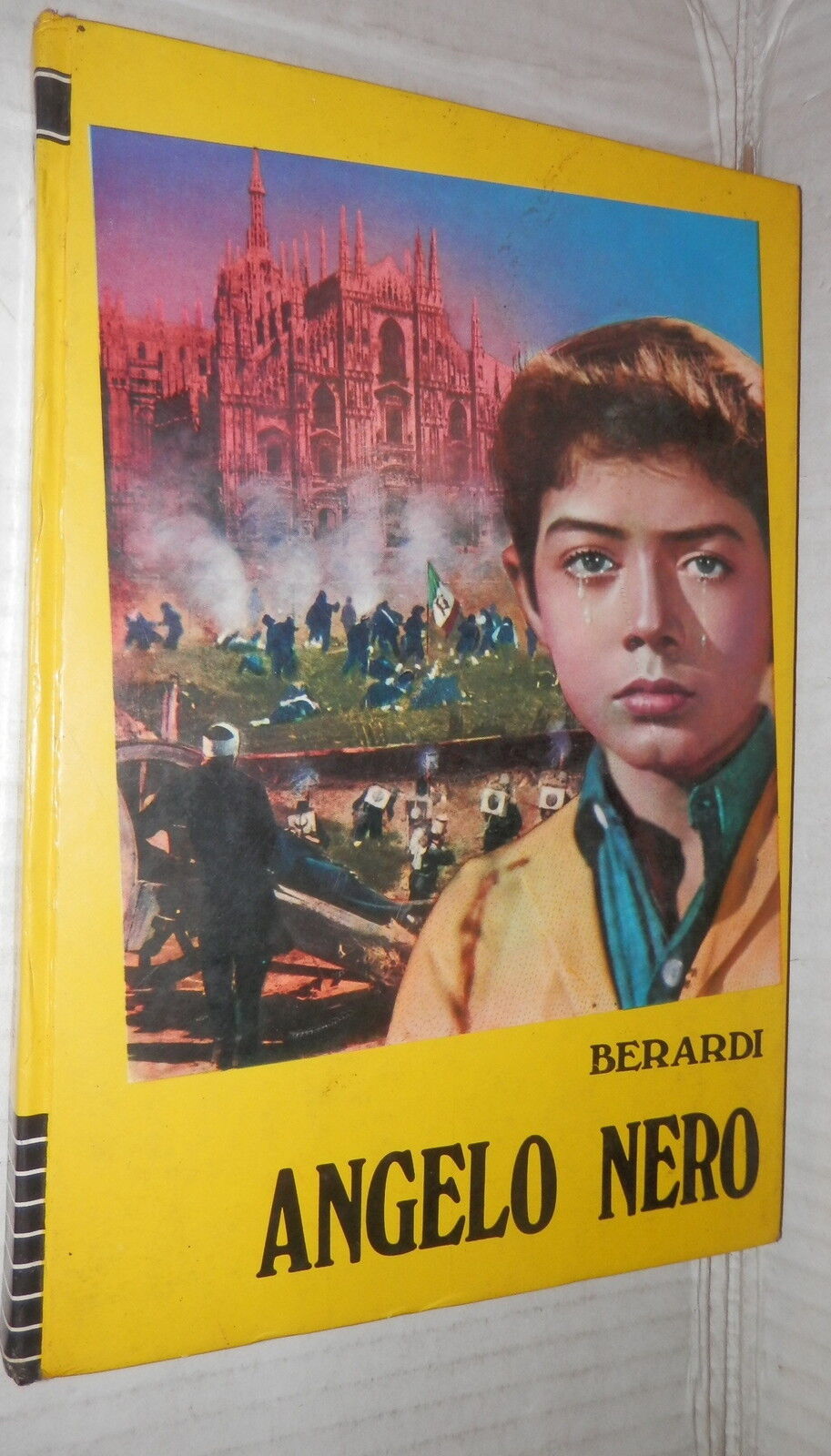 24556031