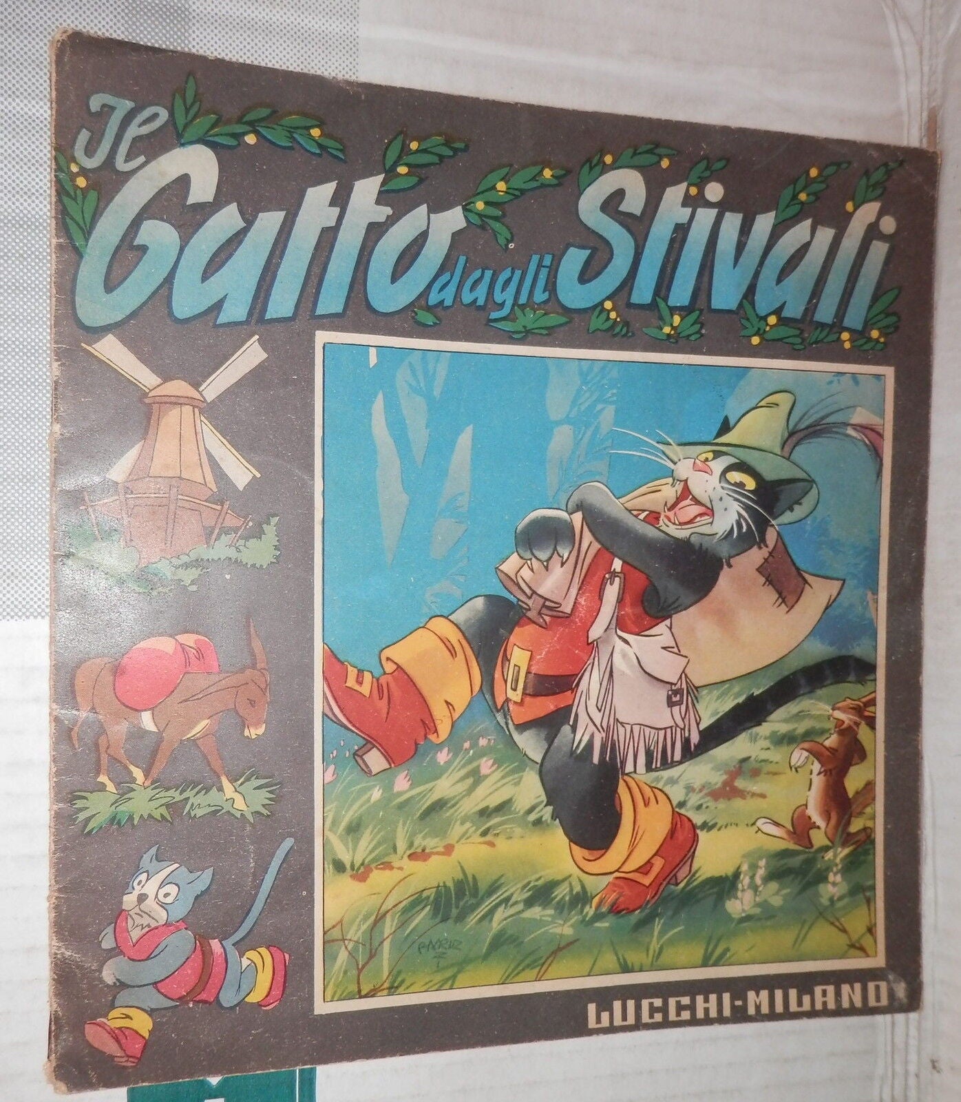 24105282