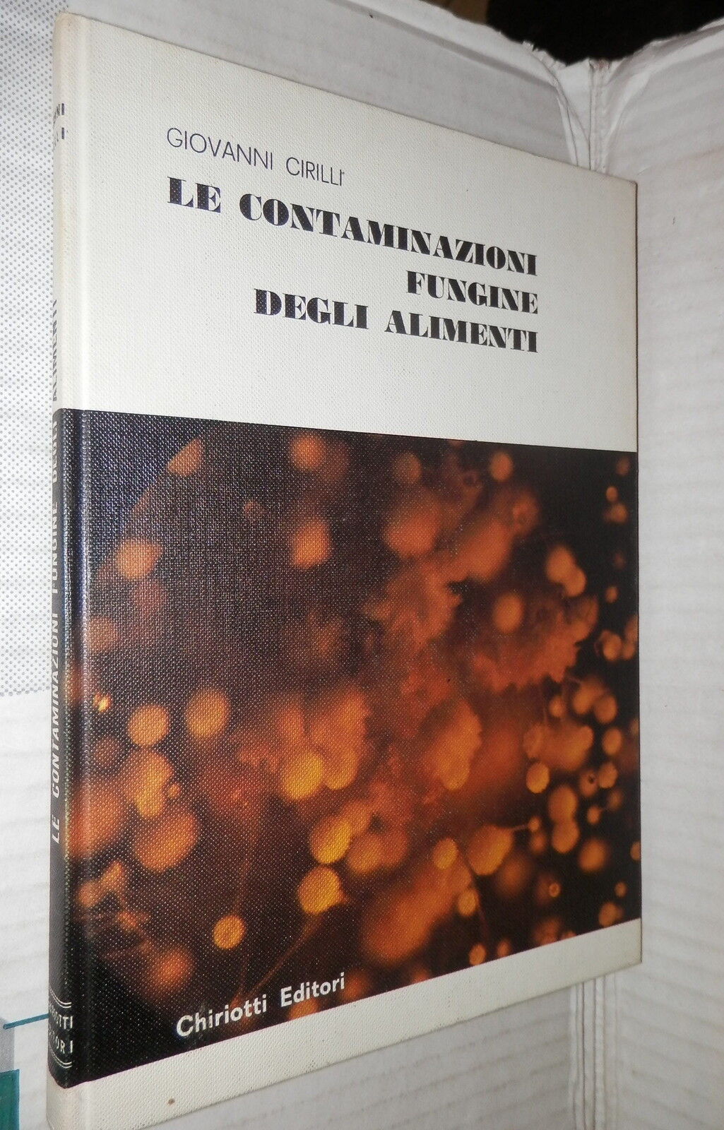 24105548