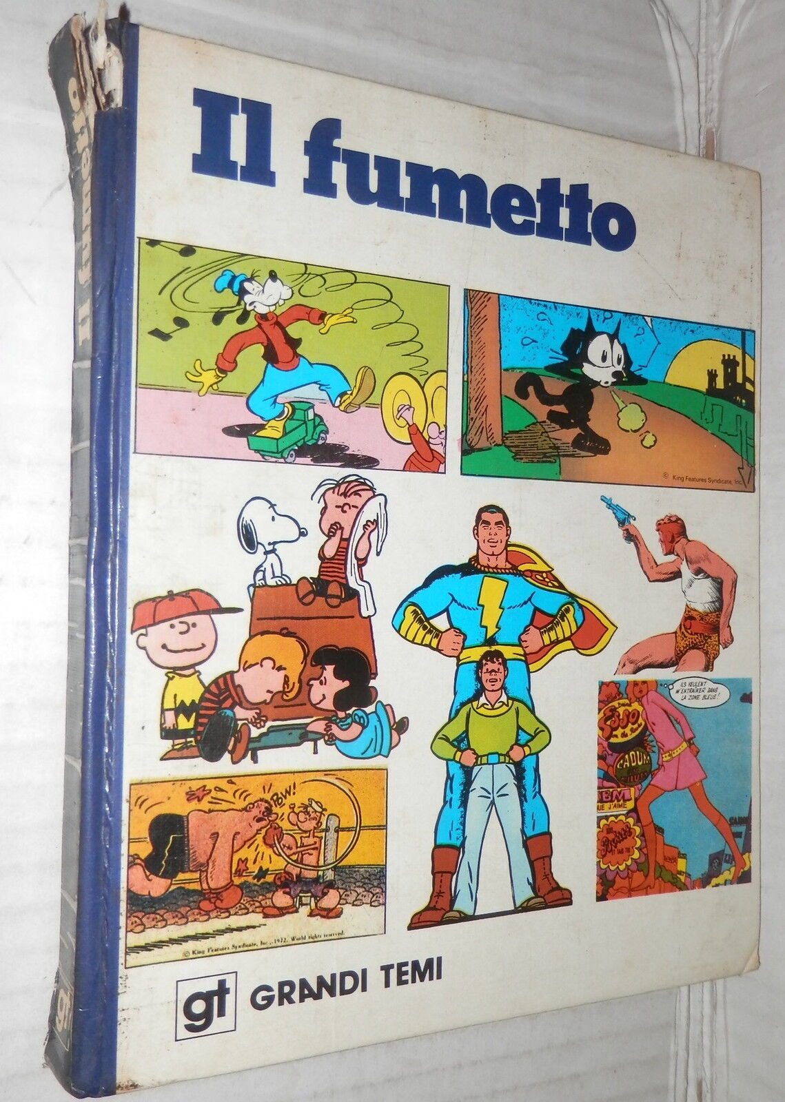 24557135