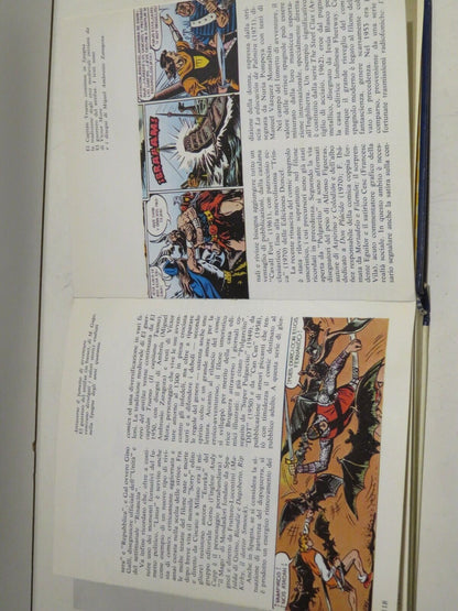 24557133