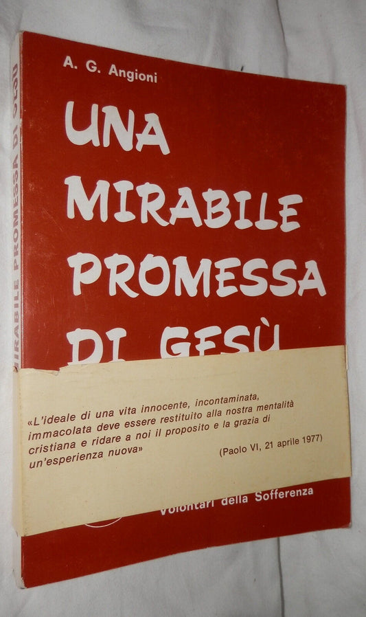 24080951