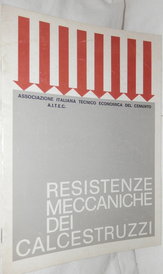 24080981