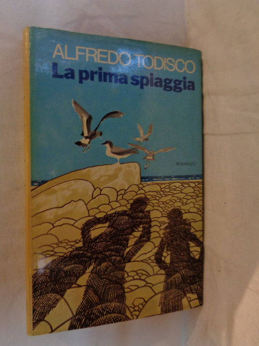 24531591