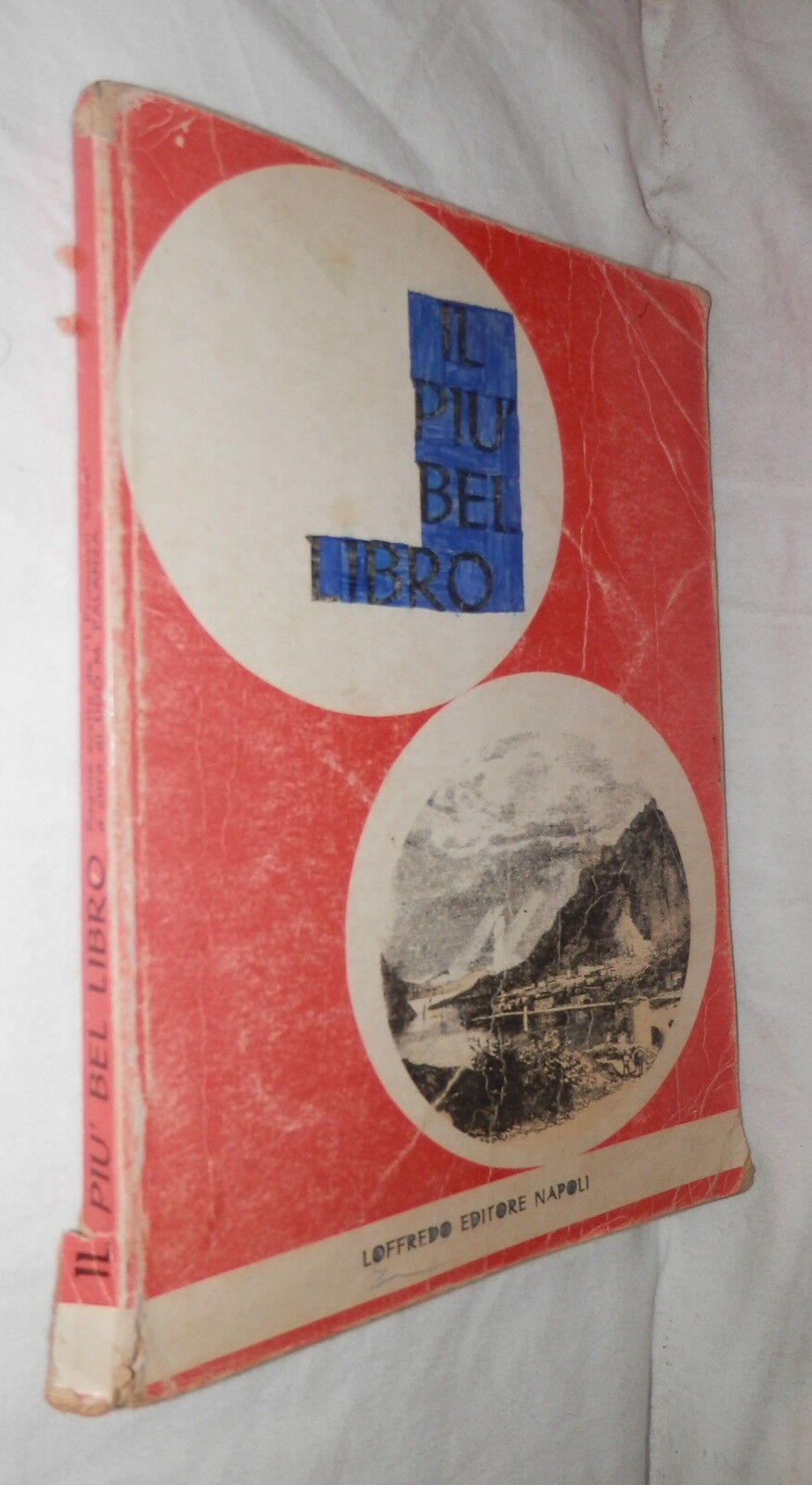 24527497