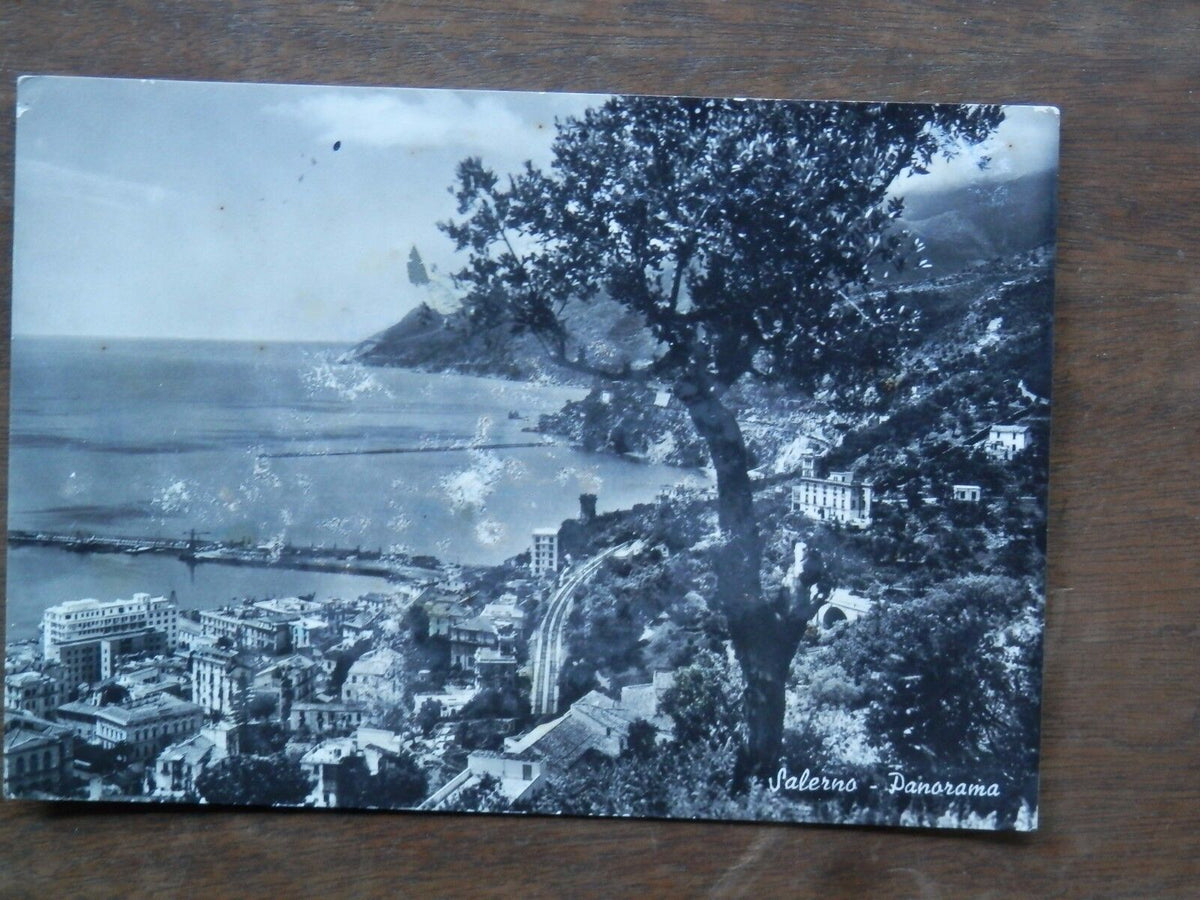 24070636