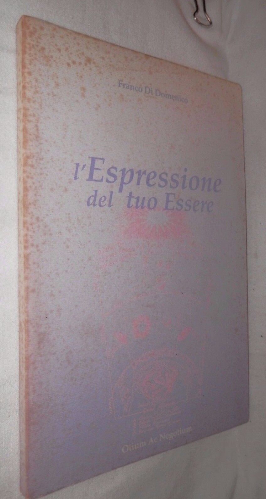 24076732