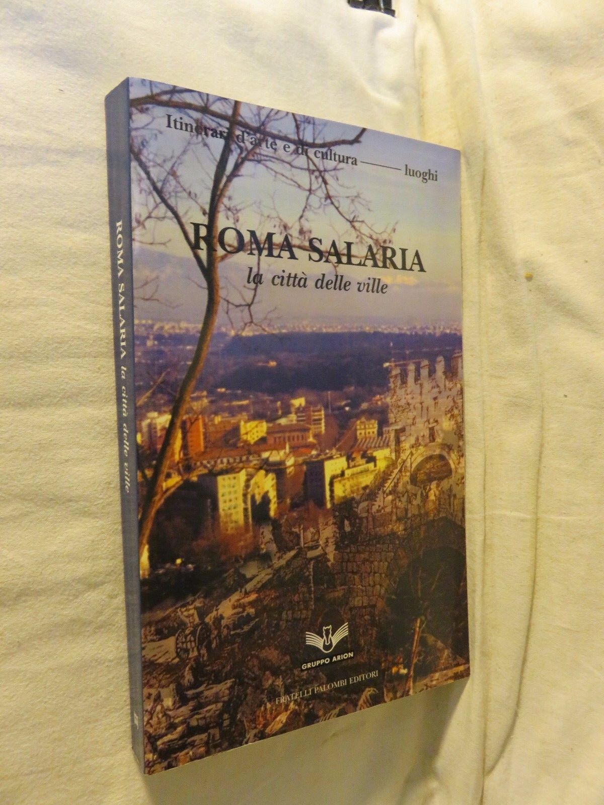 24073900