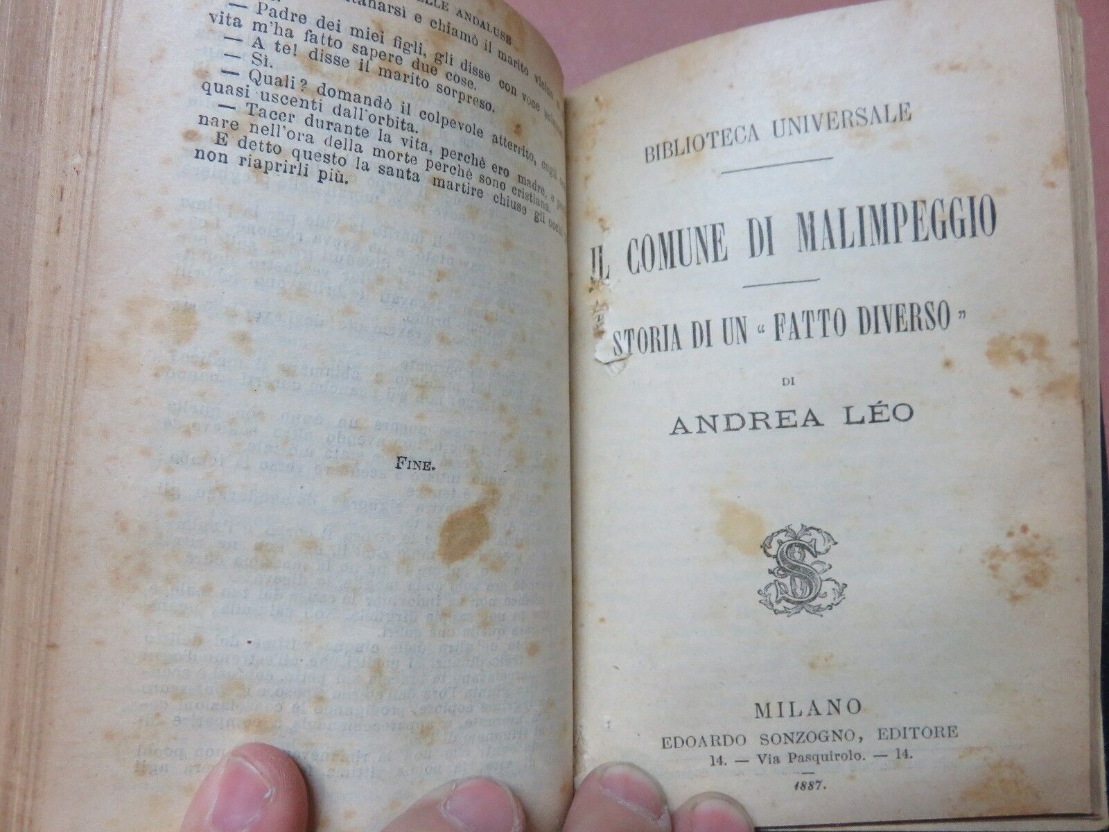 24010544