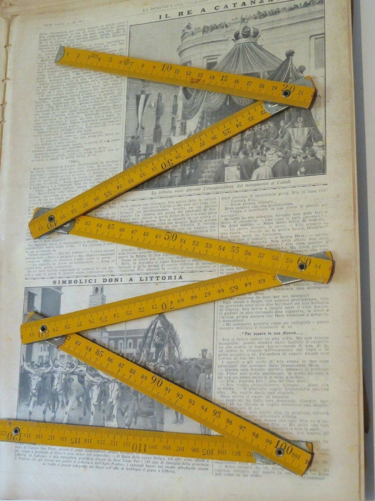 24016491