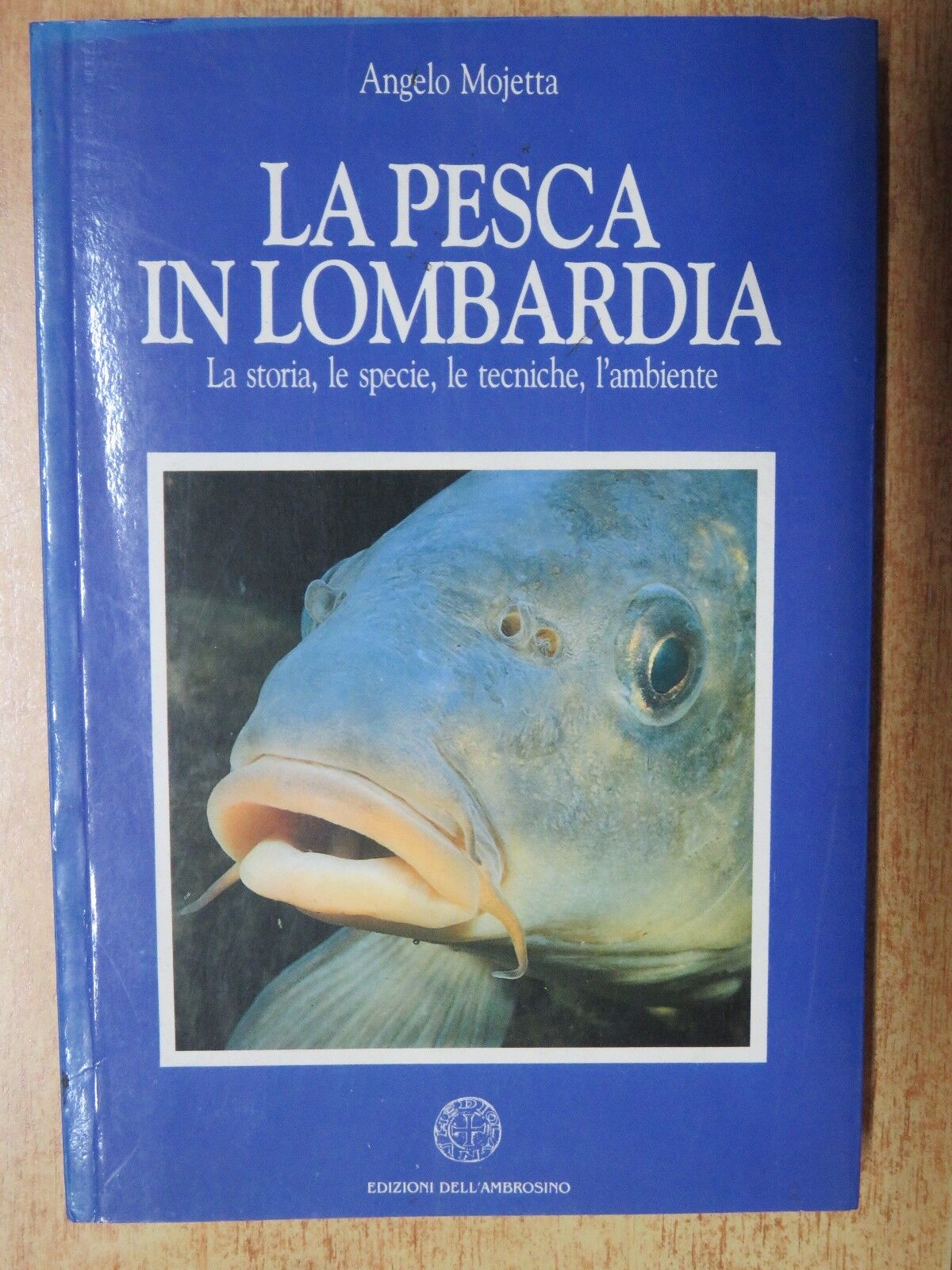 24054938