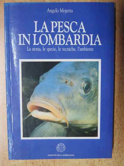 24054938