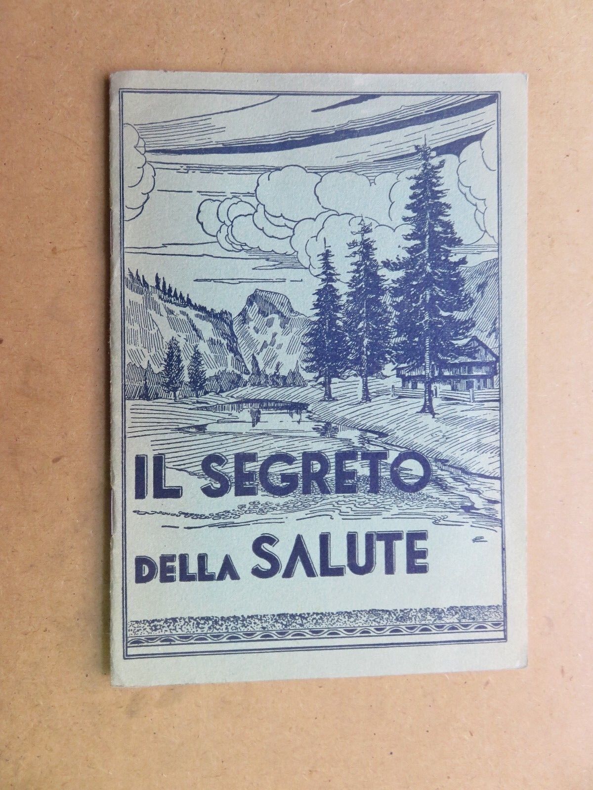 24018379
