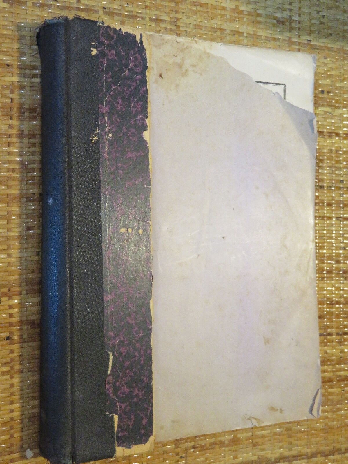 24025187