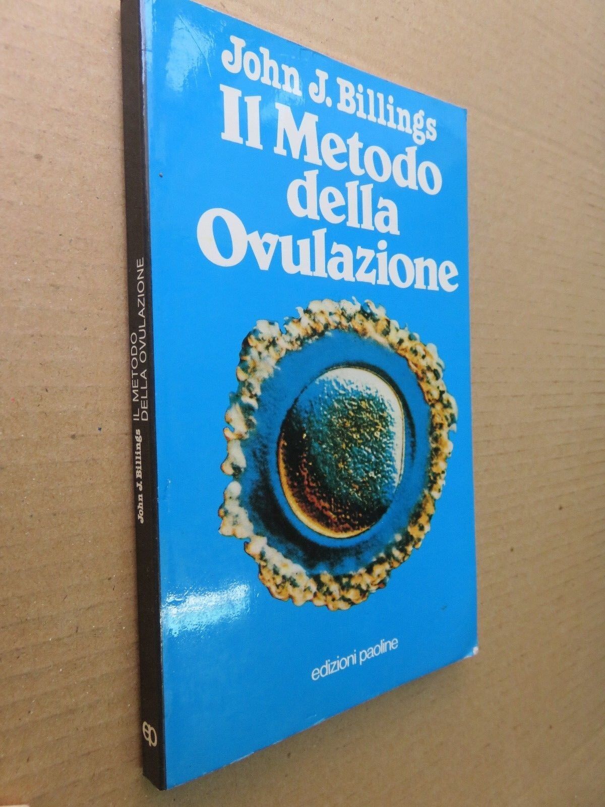 24041298