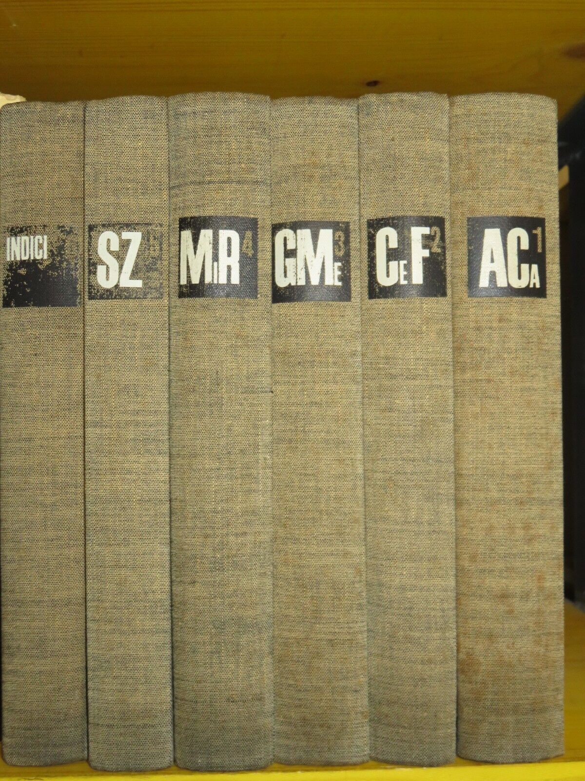 23979231