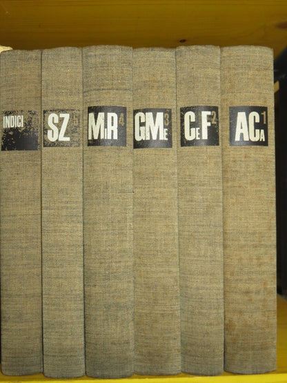 23979231