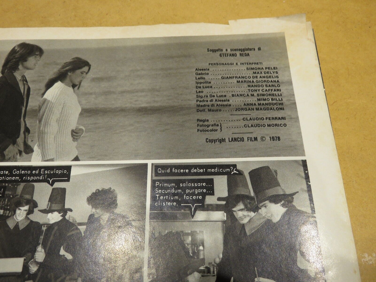23986662