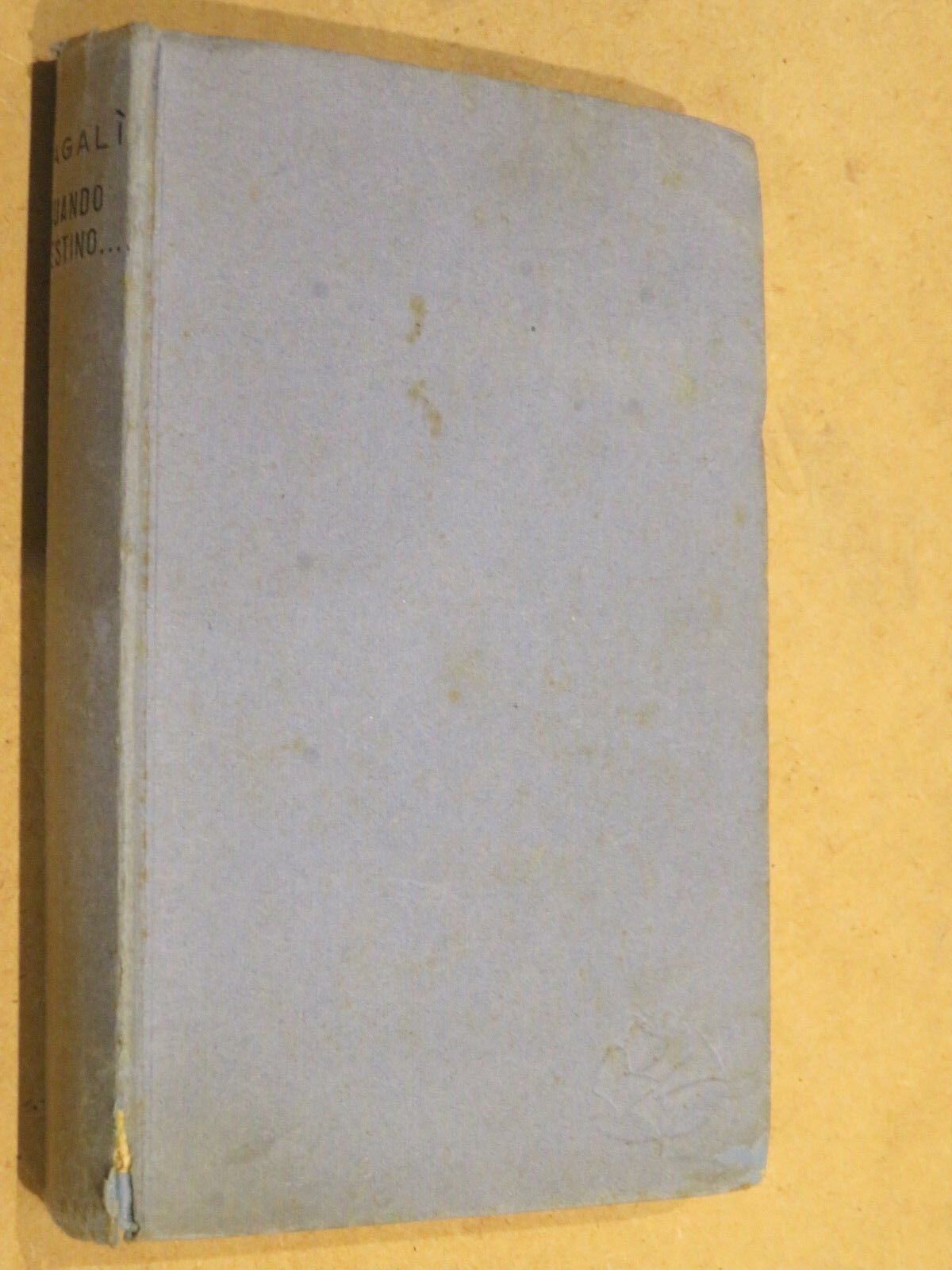 23987141
