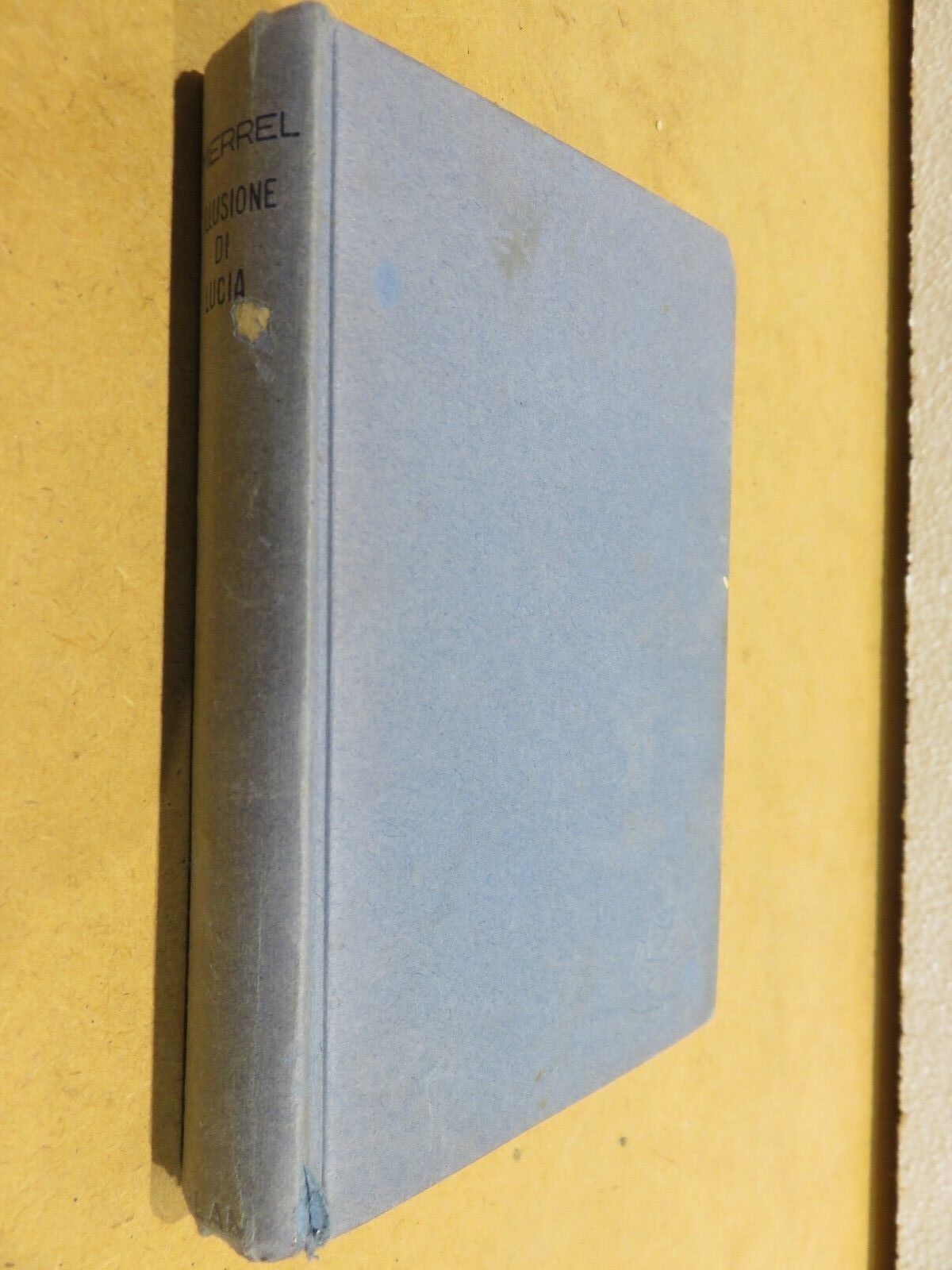 23987964