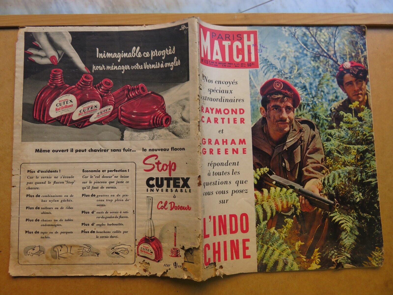 23990081