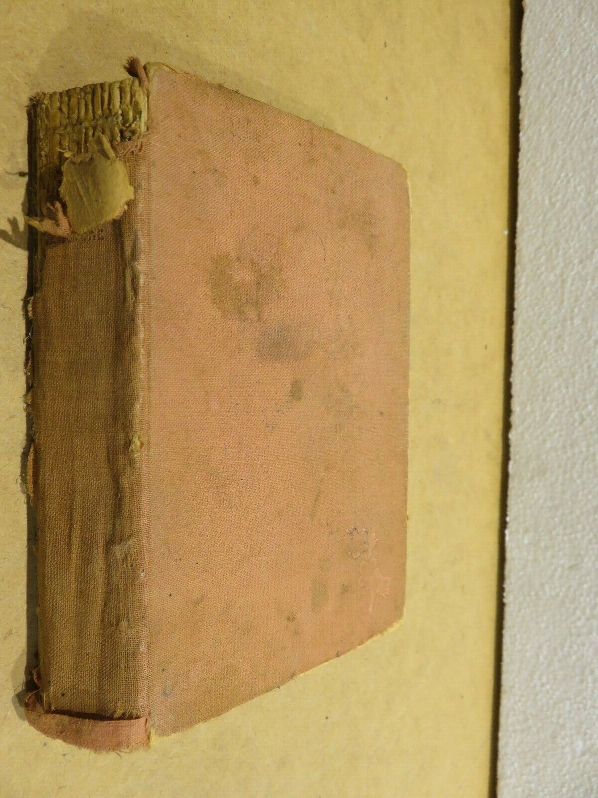 24057529