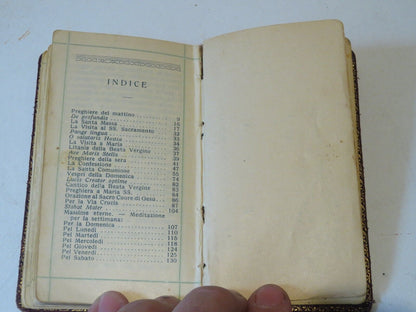 23967423
