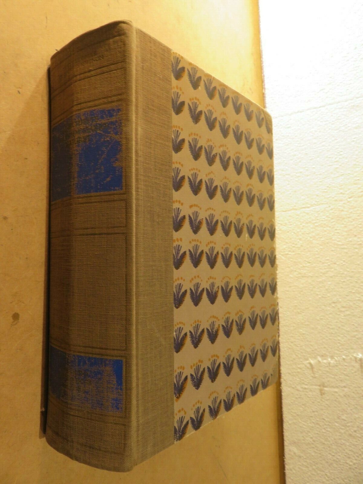 23971076