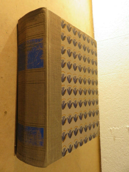 23971076