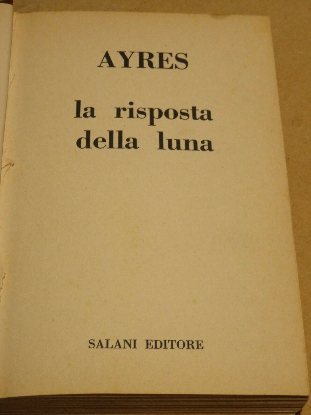 23980032