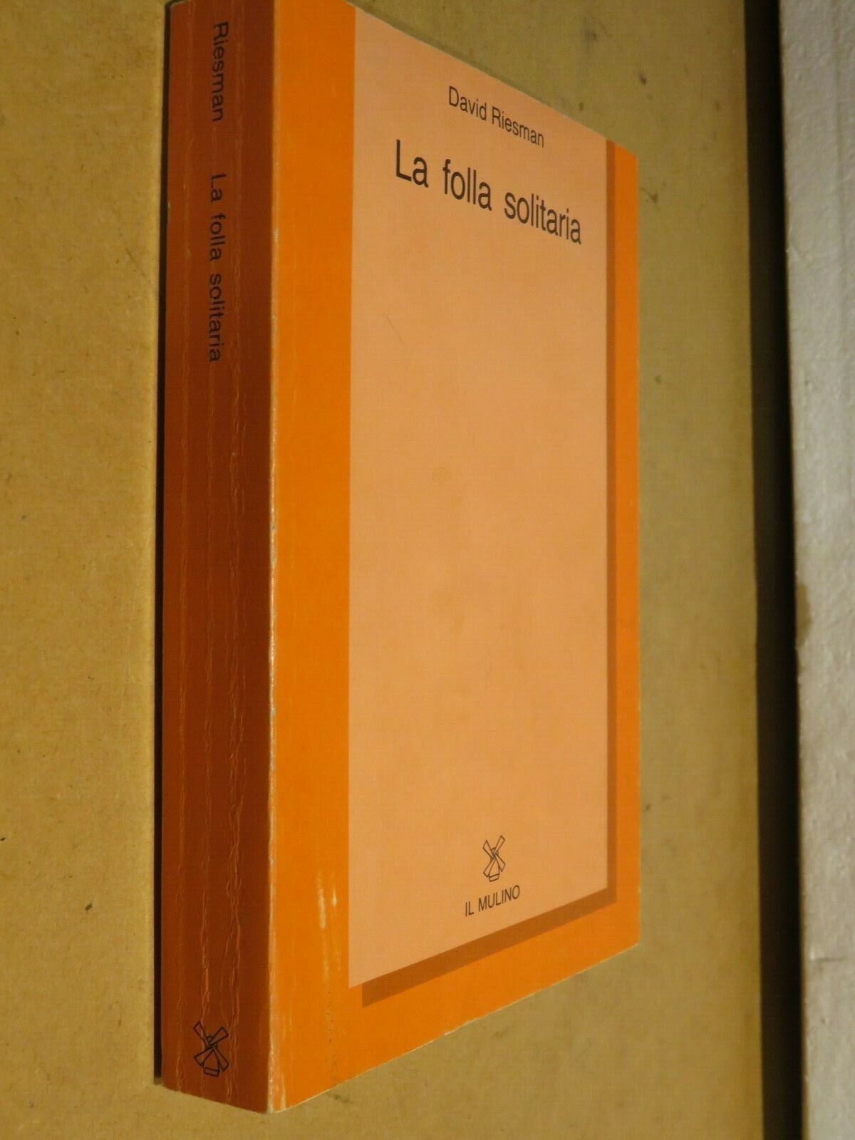 23969013