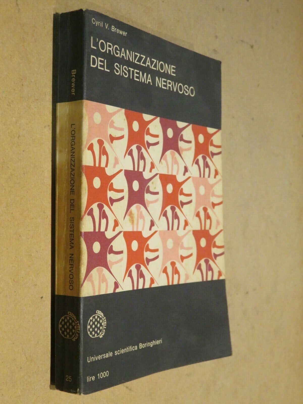 23977800