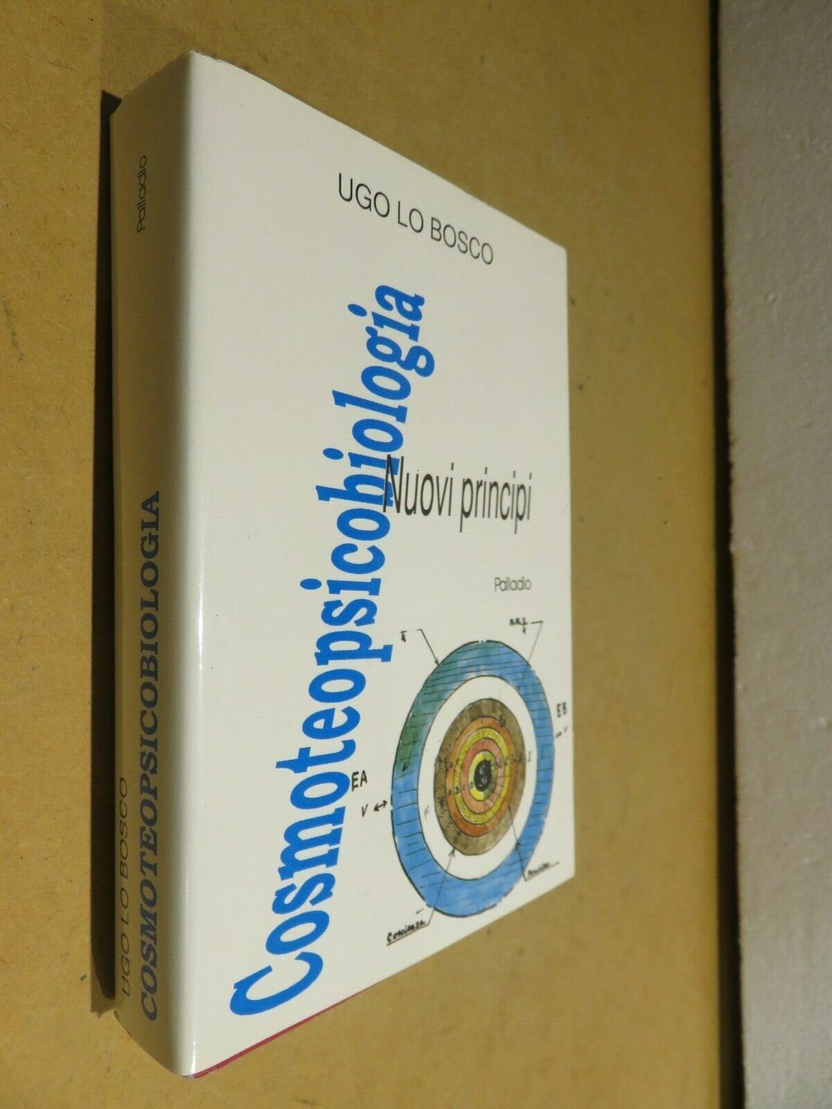 23978146