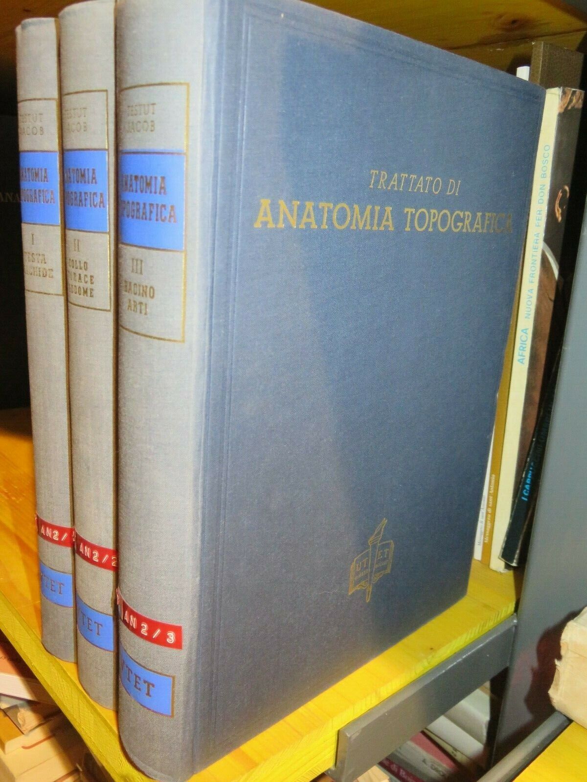 23979031
