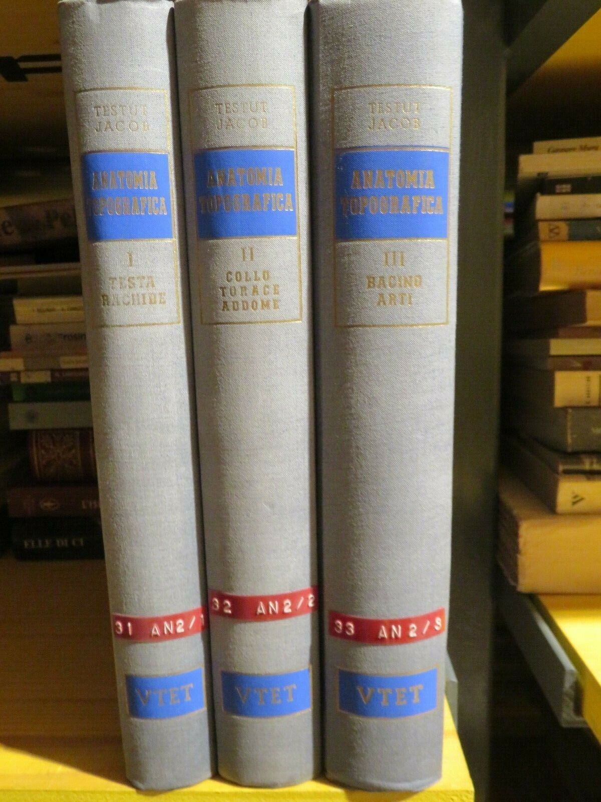 23979033