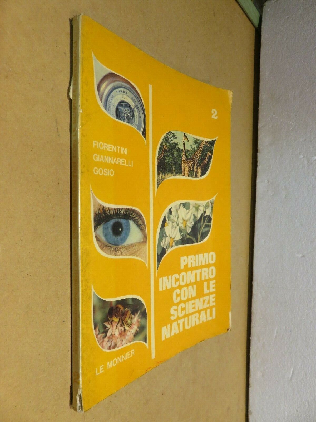 23982336