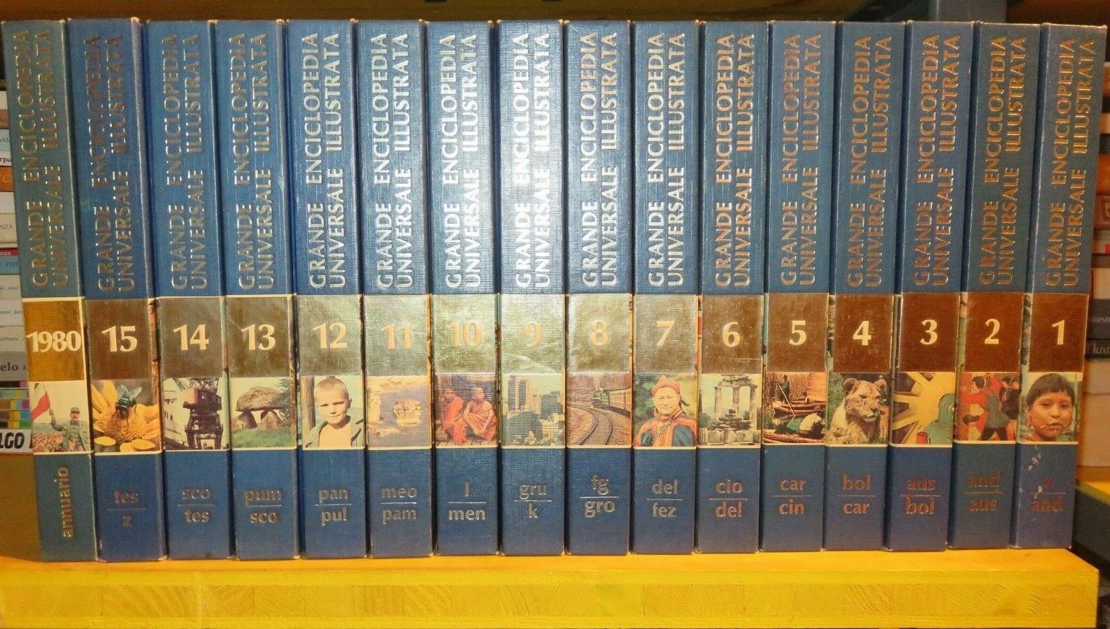 23988350