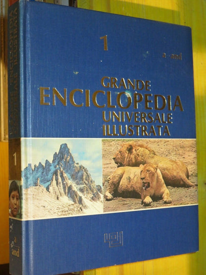 23988347