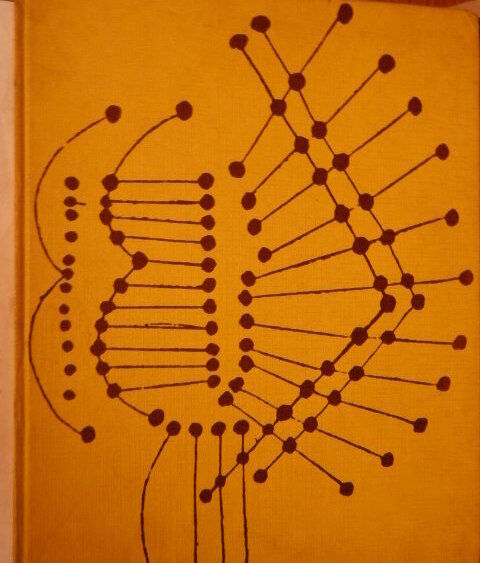 24015581