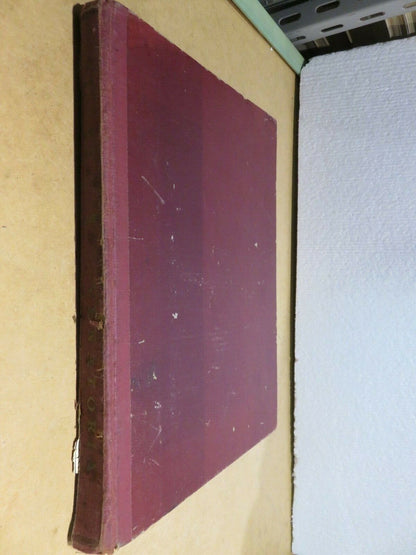 24016194