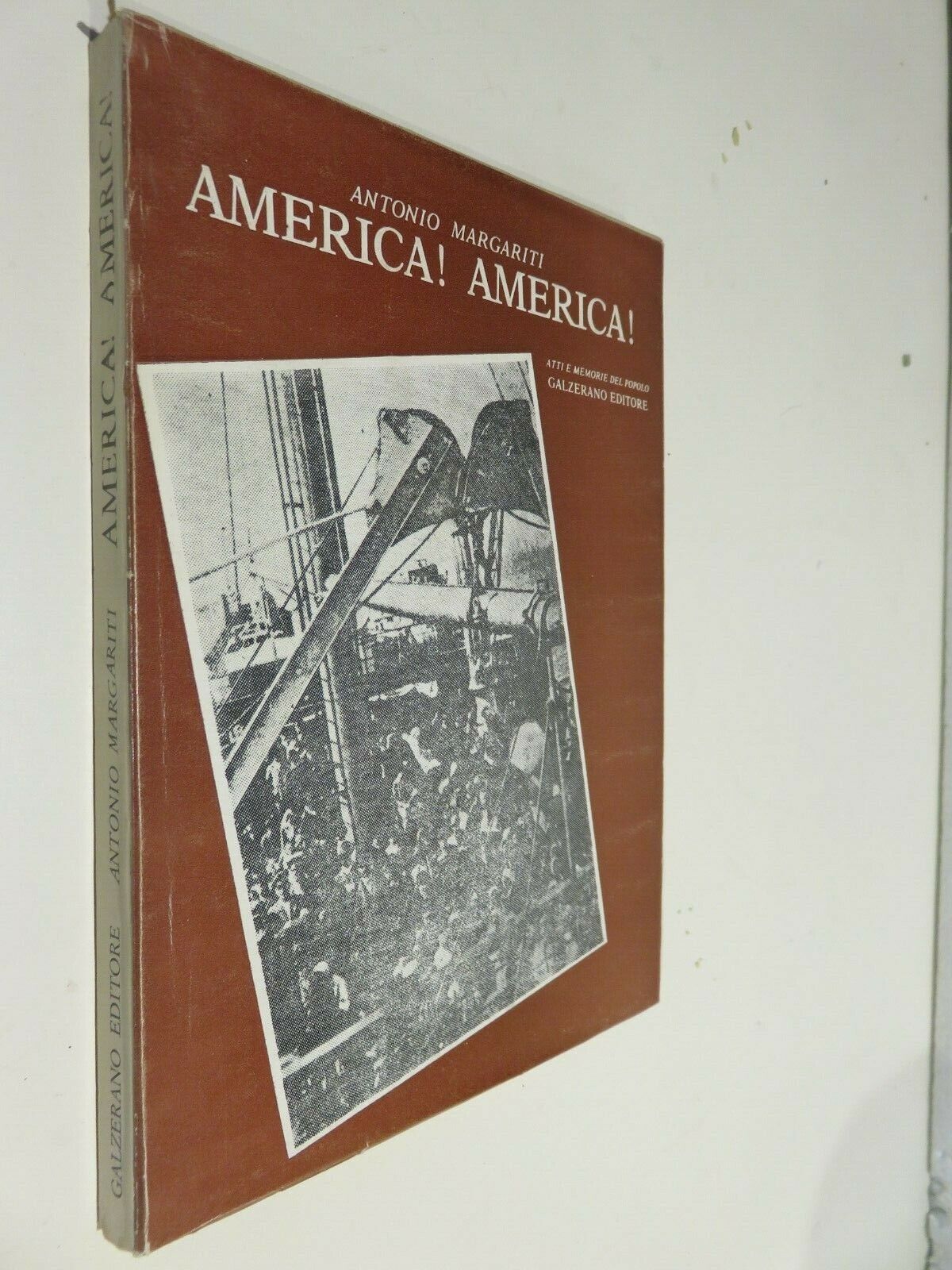 24056503