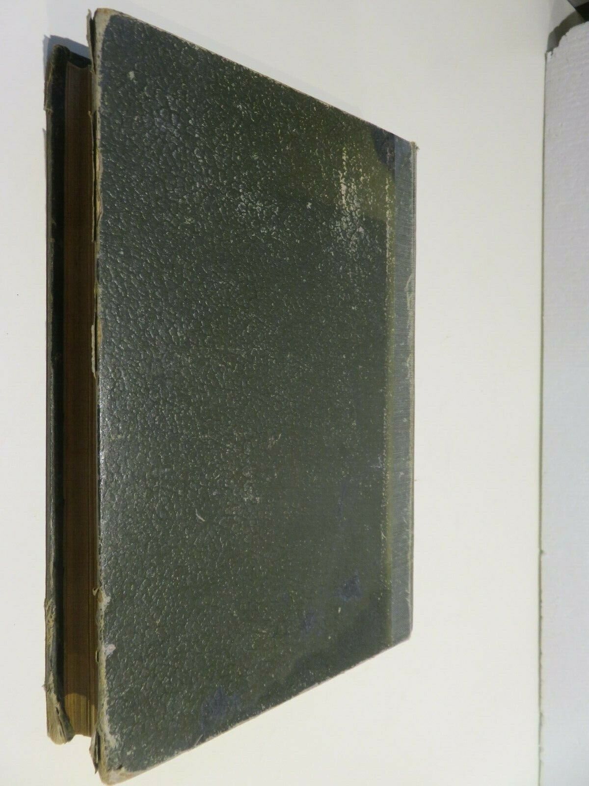 24059857